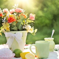 Beautiful morning and flowers